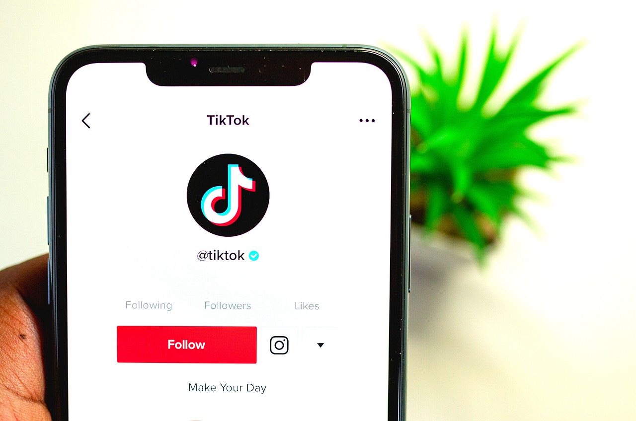 Diventare famosi su Tik Tok